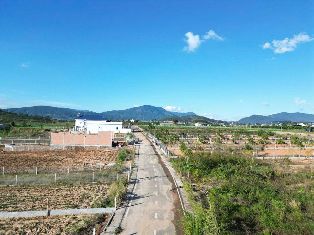 thuviennhadat.vn